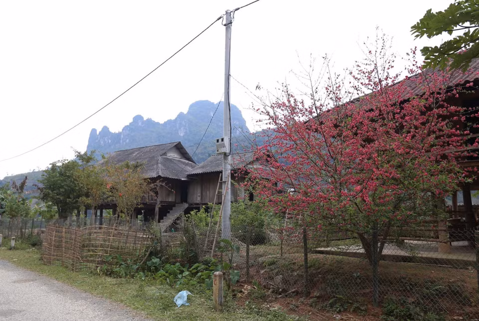 前往坡坤湾途中，游客有机会亲眼目睹西北山区傣族同胞富有特色的高脚屋。图自 越通社