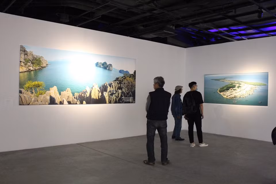 继承2019年第七次达芬尼斯艺术展关于环境保护的主题，第八次达芬尼斯艺术展上展示黎鸿玲、杨明龙、邓玉泰等著名摄影师和才华艺术家的精彩图片、绘画作品以及装置艺术作品，其中黎铁钢画家就是该展会的筛选负责人。“活海”就是达芬尼斯、越南画报副刊《美》杂志和多媒体艺术培训学校Arena MultiMedia联合开展《我保持美丽》战役中的下一阶段。图自VIETNAM+