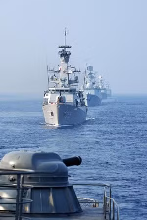 各国海军舰排成队进行阅兵式。（图片来源：越南《人民军队报》）