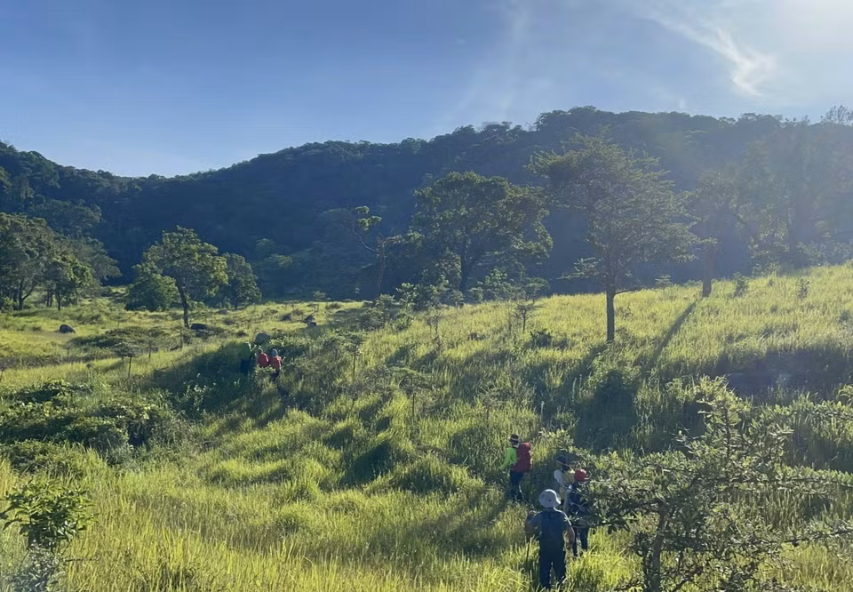 游客在宁顺省主山国家公园探索森林生态系统，感受森林的独特魅力。图自 越通社