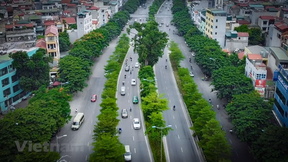 在力争实施2021-2025年阶段种植1000万棵树的目标， 河内市正在多条道路积极展开绿植活动，以有效解决环境污染问题、实现城市可持续发展。首都河内内城街道逐渐被树木覆盖，其中包括小叶榄仁、大果紫檀、棕榈科、槟榔等等。河内市对各条主干道进行绿化美化，既有助于降尘、降噪又有利于环境保护工作。图自 Vietnam+