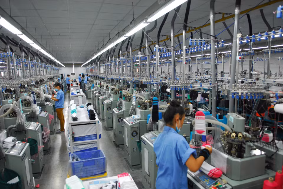 设在海防市越新工业区（VSIP）由中国香港投资的高档袜制造公司佳三袜子生产厂。越通社记者 名岚 摄
