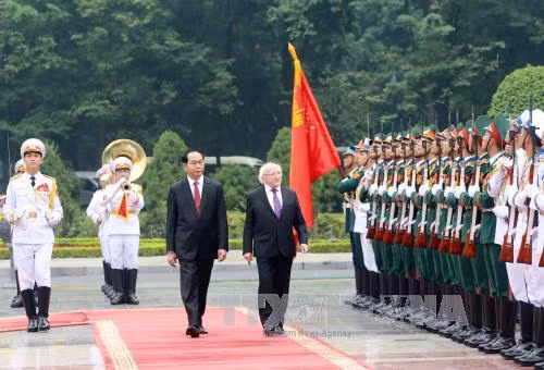 越南国家主席陈大光与爱尔兰总统麦克·希金斯检阅越南人民军队仪仗队。（图片来源：越通社）