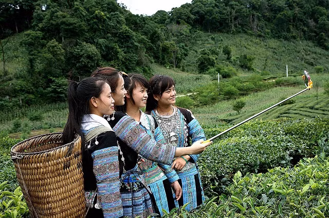 《一起拍》（图片来源：hoabinh.gov.vn）