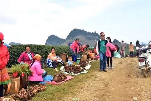 游客可以在芥菜花田边的小摊买到当地纪念品送给亲朋好友。（图片来源：人民军队报）