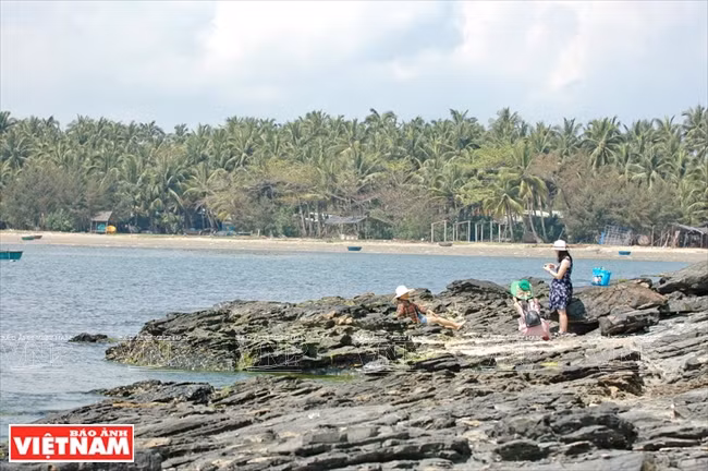 成山县三海岛椰影婆娑、石滩秀丽，构成一幅诗意盎然 的风景画。越通社记者 清和 摄