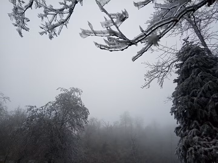 冰雪天气袭击越南北部山区。越通社记者香秋 摄