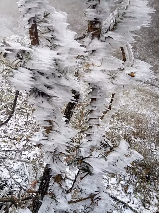 冰雪天气袭击越南北部山区。越通社记者香秋 摄
