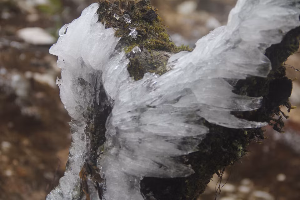 冰雪天气袭击安沛木江界县。越通社记者 明德 摄