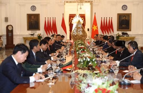 印尼总统佐科·维多多与阮富仲总书记举行会谈。（图片来源：越通社）