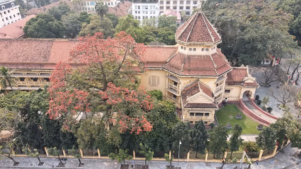 随着旅游活动全面重启政策的实施，首都河内旅游业已为迎接国内外游客做好各方面的准备。新常态下的众多旅游模式开始出现，为振兴首都旅游业点燃希望之火。题为“伯古--木棉花季”的欣赏木棉花和体验国家历史博物馆一些活动的新旅游线路在国家历史博物馆举行。在1个小时的时间内，游客可以尽情参观位于首都河内中心的“城中村”空间。图自Vietnam+