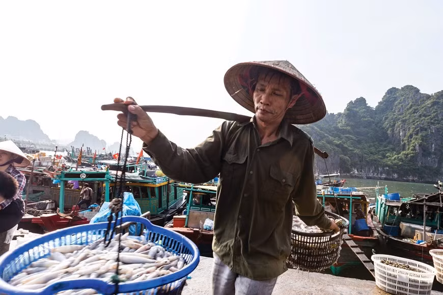 载满劳动成果的担子。图自Vietnam+