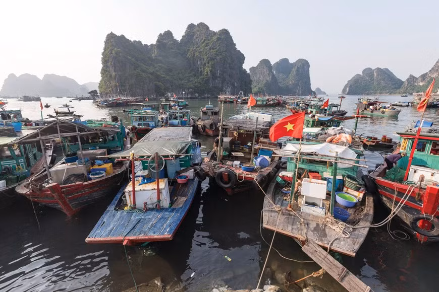 经过一段时间出海捕捞后，多艘渔船在码头上停泊。这也是广宁鱼市场常见的平静画面。图自Vietnam+