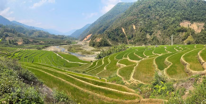 芒齐县的梯田。图片来源：越通社