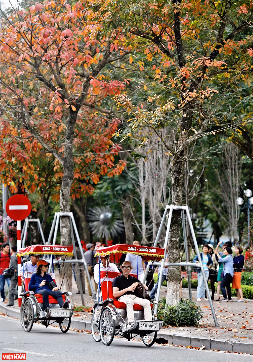 一到换叶季节，大花紫薇树上的绿叶慢慢变红，整个城市展示了独具魅力的浪漫、怀旧的面孔。图自《越南画报》