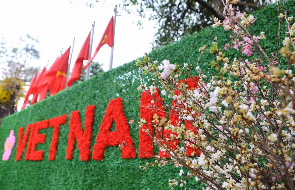 在河内市还剑区李太祖花园的樱花盛开。图自越通社