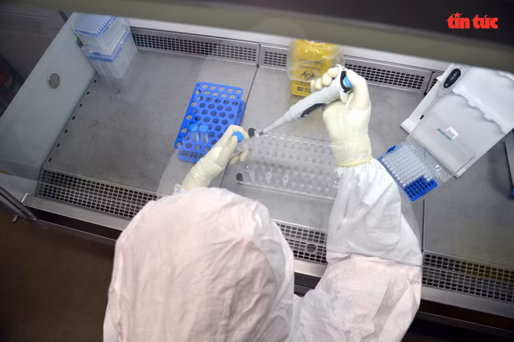 一辆移动检测车每天可检测400个样本。图自越通社