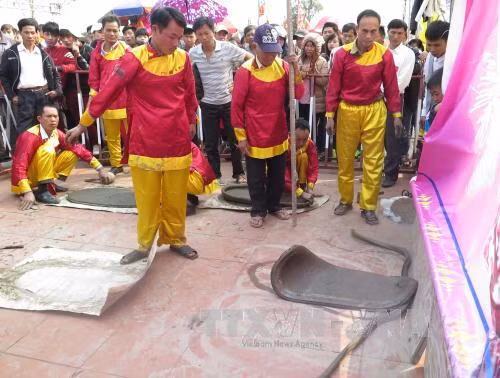 陈祠庙会期间举行的民间游戏。（图片来源：越通社）