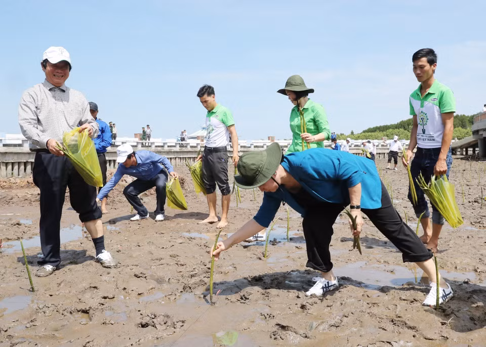 越南国会主席阮氏金银出席金瓯省植树仪式。越通社记者 仲德 摄