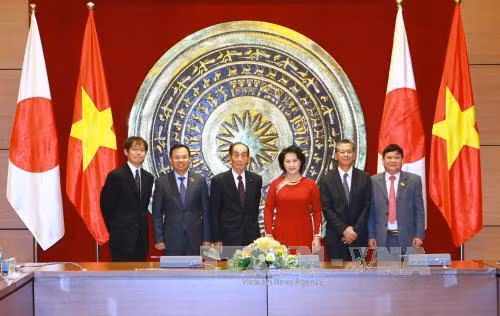12 月 14 日下午在国会大厦，以阮氏金银副主席为首的越南国会代表团与由舆石东副议长率领从 14 日至 16 日对越南进行工作访问的日本参议院代表团举行会谈。（图片来源：越通社）