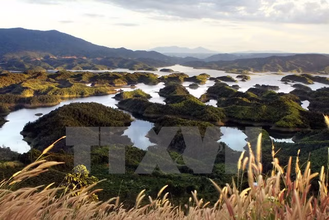 塔董自然保护区的高位水池总面积为3.6万公顷。（图片来源：越通社）