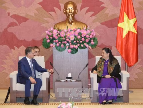 12 月 14 日在河内，越南国会副主席丛氏放会见正在对越南进行访问的俄罗斯联邦委员会对越友好议员小组主席沃尔科夫。（图片来源：越通社）
