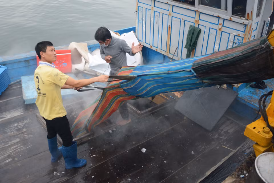 渔船在启航前装满冰块以保存食品和海鲜。图自越通社