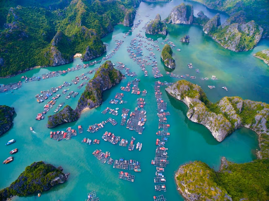 围绕着吉婆岛的兰夏湾位于下龙湾旁边，这是一个平静的海湾，拥有300多座大小不同的岛屿。图自Vietnam+