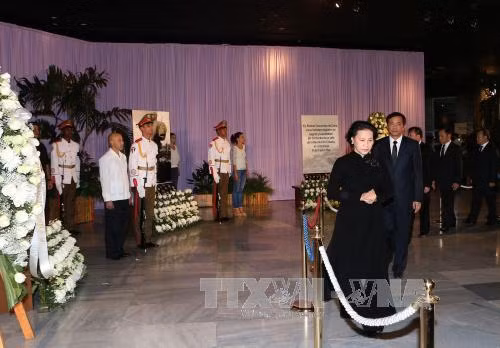 ​越南国会主席阮氏金银​吊唁古巴领袖菲德尔·卡斯特罗·鲁斯​的逝世（图片来源：越通社）​​