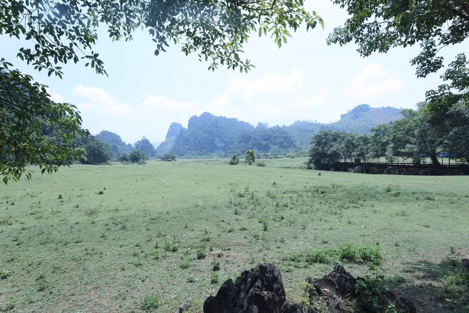 同林草原犹如石灰岩山脚下大自然的绿色地毯。图自越通社