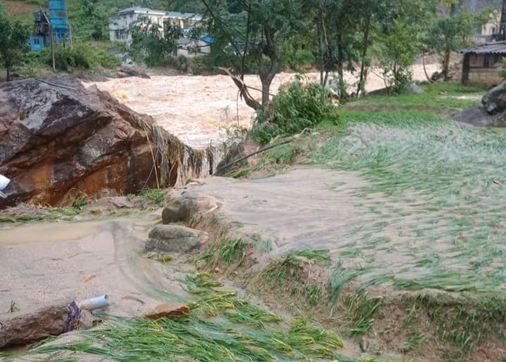 灾区人民的庄稼全被雨水淹没。图自越通社