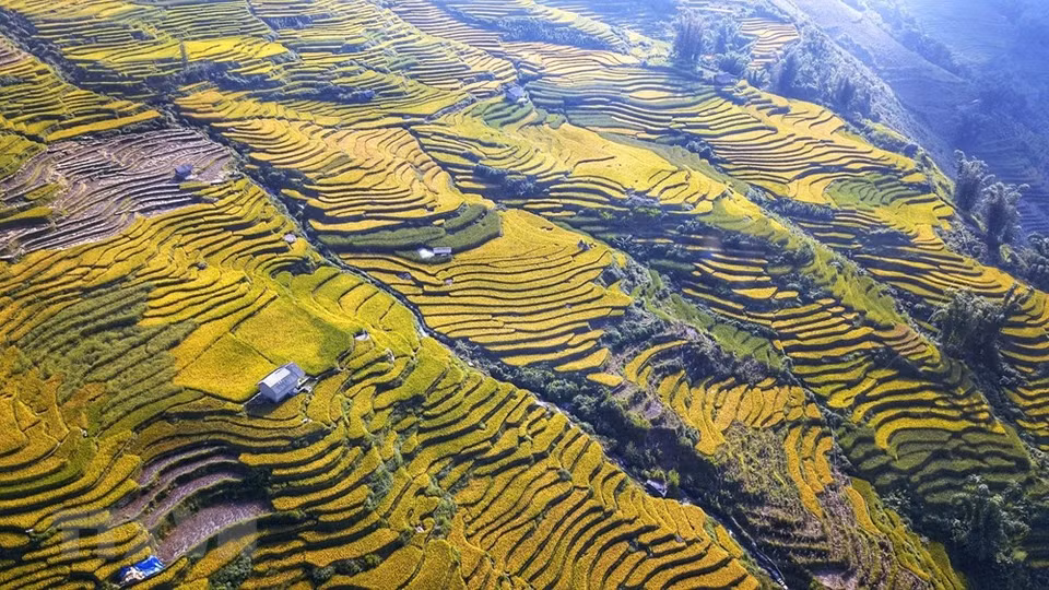 由于位于高达2000米的山谷，因此对喜欢欣赏梯田美景的游客们来说，这里确实是理想的旅游目的地。越通社记者 成达 摄