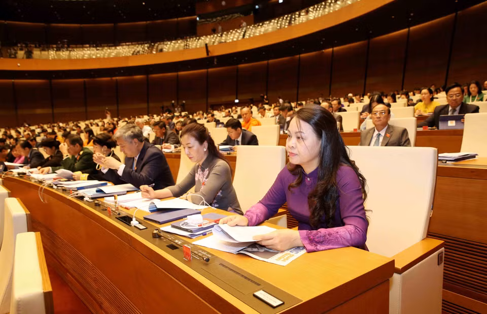  出席开幕式的各位国会代表。越通社记者芳花 摄