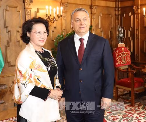 越南国会主席阮氏金银会见匈牙利总理欧尔班•维克多。