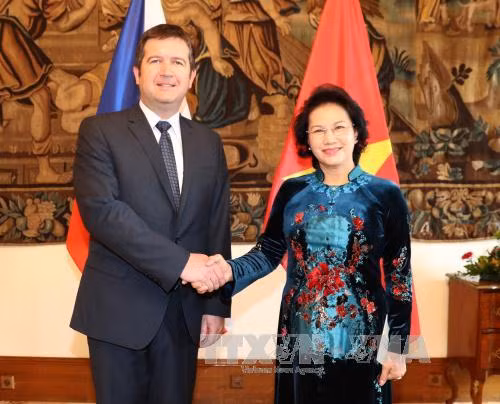 越南国会主席阮氏金银会见捷克众议院主席扬• 哈马切克。