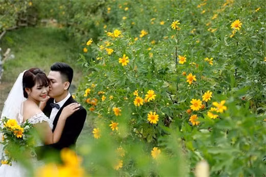 （图片来源：越南《人民军队报》）