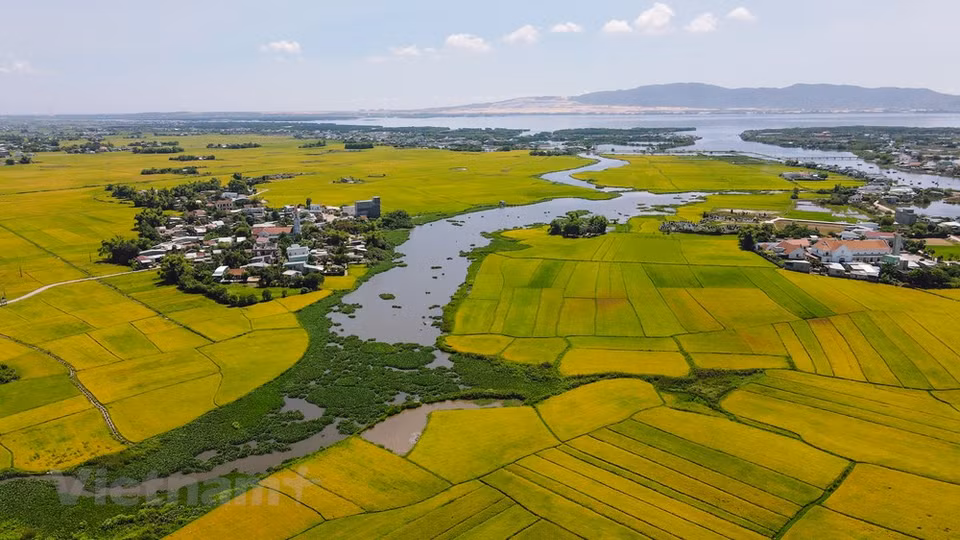 高空俯瞰，村河教堂在田园之中凸出，成为一幅美丽的画儿。（图自越通社/明山）