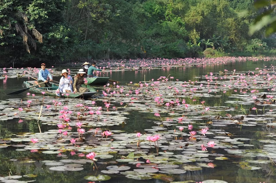 通晴旅游区湿地被雄伟壮观的山峰所包围。在这里游客可以放下世界的烦恼，远离城市的喧嚣，感受大自然的气息，欣赏美丽风景。图自 越通社