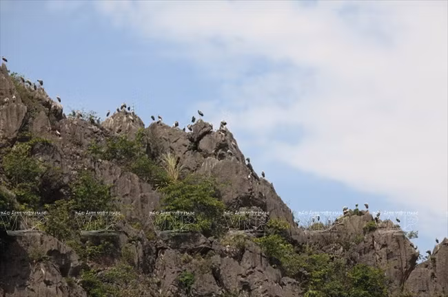 云龙景致雄伟壮观、野生动植物丰富多彩。