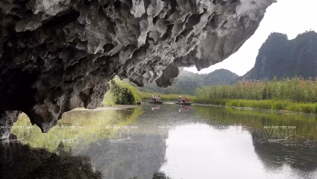  在云龙，除了湿地和石灰岩山上森林两个主要生态系外，还有水田、山田、村庄。
