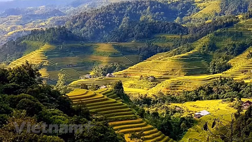 黄树肥拥有美丽的景观和丰富的自然资源。这是该县发展社区旅游和生态旅游的优势，为当地政府和人民带来切实利益。然而，想要打造旅游品牌并确保社区旅游和文化的同步发展，当地政府和旅游管理部门仍需对基础设施建设和旅游产品多样化等提供协助。河江省黄树肥被评价为河江省最佳的梯田，也是越南最佳的三大梯田之一。图自Vietnam+