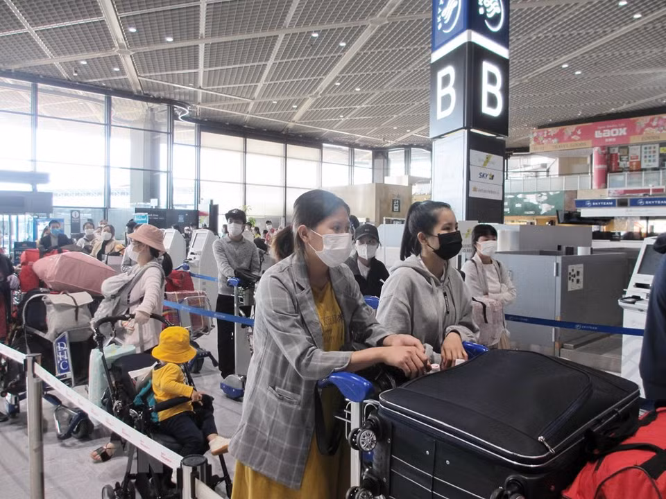 在成田机场的越南公民排队办手续。图自越通社