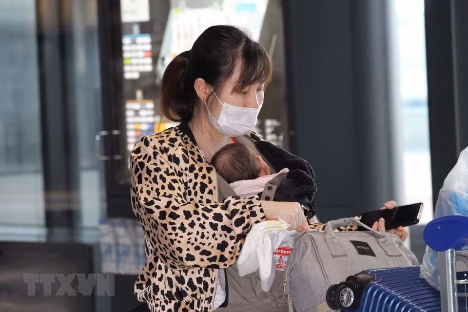 落实政府总理的指示，有关部门将继续组织商业航班，在疫情形势变化和各地的隔离能力的基础上将越南公民接回国。图自越通社