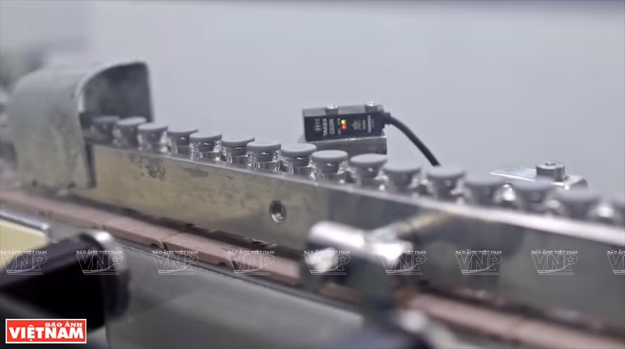 疫苗药液填充后立刻得以封盖。