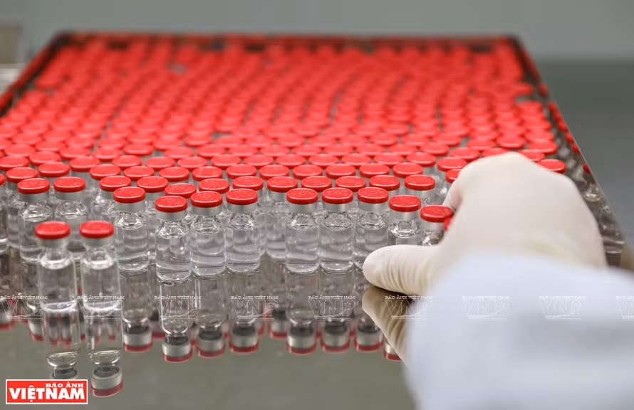 检查疫苗管子工序由人工负责。车间内，7到8名工作人员注视疫苗管子以查看是否出现杂物或异常杂质。