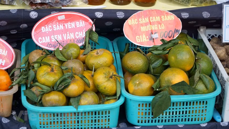 博览会还推介越南新鲜农产品。图自Vietnamplus