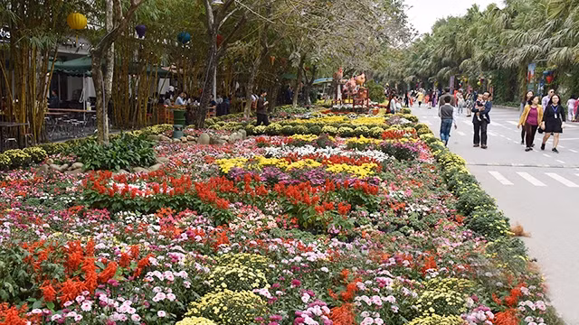 五颜六色的花街（图片来源：人民报）