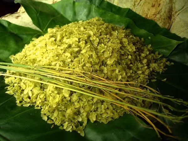 扁糯米以清香甘甜特点成为很多美食菜肴的主料。图自互联网