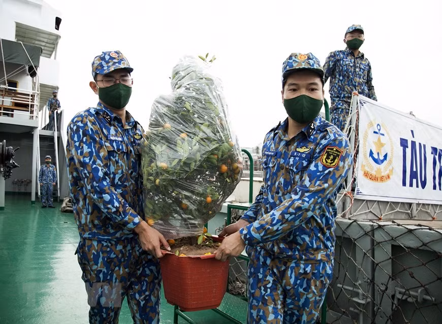 战士们把金桔树搬到船上，准备送往DK1海上高脚屋。图自越南通讯社