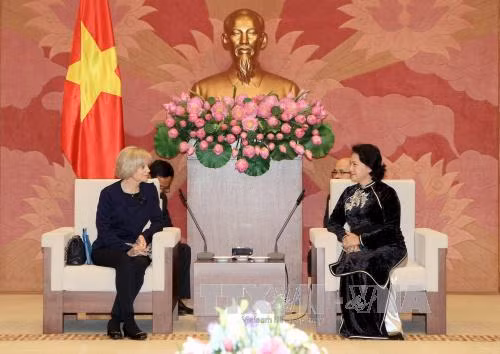 会见时，阮氏金银副主席建议，法方支持早日正式签署越南——欧盟自由贸易协定，其将有助于促进越法贸易、投资关系。（图片来源：越通社）